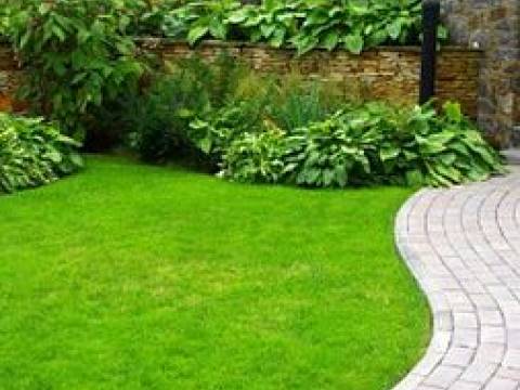 Avenue Landscapes Ltd1